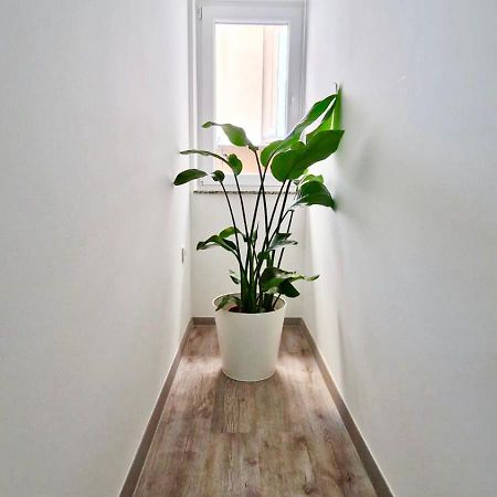 Ljubljana Central Cozy Apartment W Free Parking Zewnętrze zdjęcie