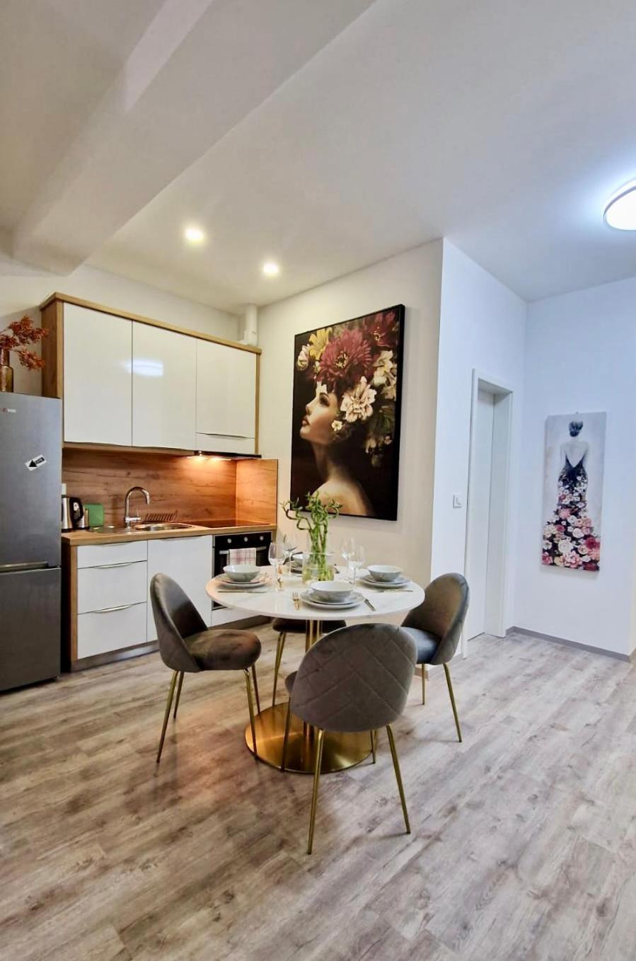 Ljubljana Central Cozy Apartment W Free Parking Zewnętrze zdjęcie