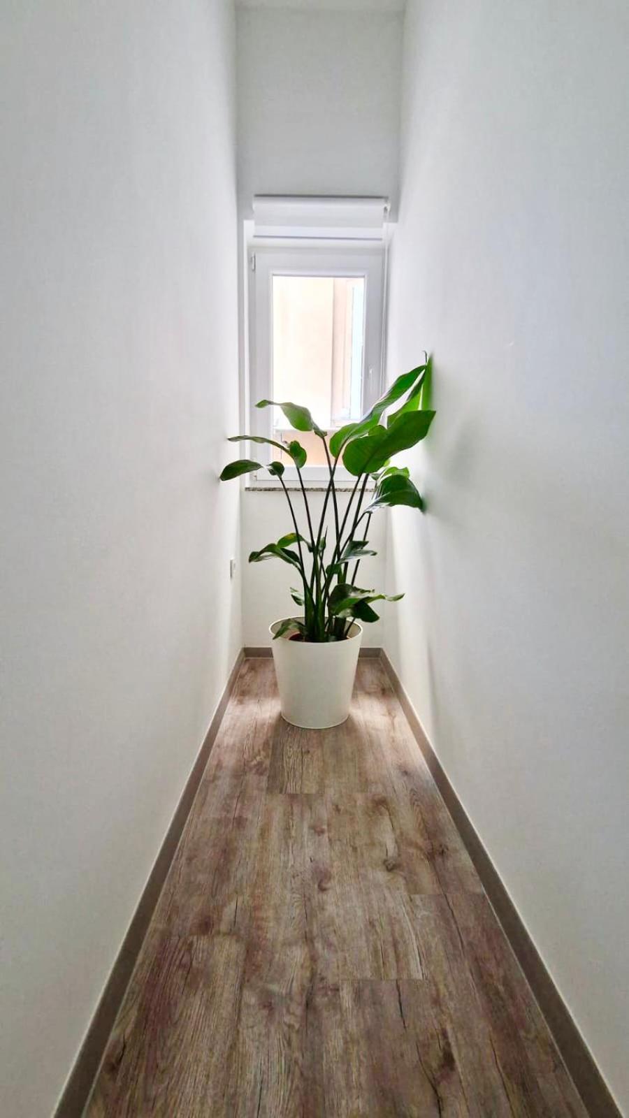 Ljubljana Central Cozy Apartment W Free Parking Zewnętrze zdjęcie